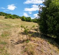 Land for residential use on Obrancov Mieru Street in Banská Štiavnica, sloping terrain with greenery.