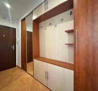 Entrance hall with built-in storage and a wooden decor floor in a 4-room apartment.