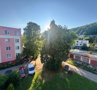View of Pushkin Street in Humenné with residential and garage buildings, from a 4-room apartment.