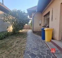 The garden at the family house in Ladice, with a paved path on one side, containers.