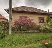 A family house in Ladice with a front garden and a fence, a flowering bush in front of the house.