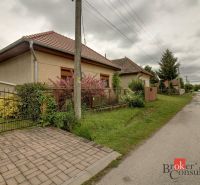 A family house in Ladice with a front garden on a quiet street and paved with interlocking tiles.