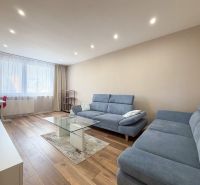 Living room in a 2-room apartment with a blue sofa, glass table, and wood-patterned flooring.