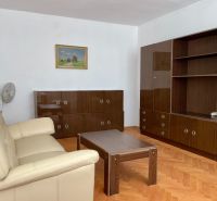 Living room in a two-room apartment with a wooden decor floor, sofa, and cabinets.