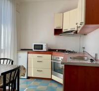 Kitchen in a 2-room apartment with a microwave, stove, and dining table.