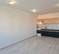 A kitchen in a 2-room apartment with a wooden decor floor and a kitchen unit.