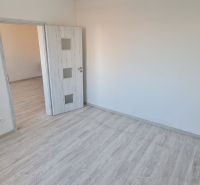 A room with a wooden decor floor and white doors in a 2-room apartment.