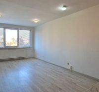 A bright room with a wood-patterned floor in a two-room apartment, large window.