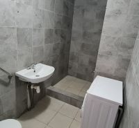 Bathroom with tiles, sink, toilet, and washing machine in a 2-room apartment.