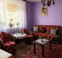 Living room in a family house with purple walls, a red carpet, and flowers on the window.