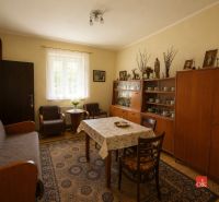 Living room with wooden furniture, wood-patterned flooring, a carpet, and decorative items.