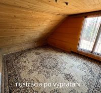 Attic room in a family house, wooden-paneled ceiling, large carpet on the floor.