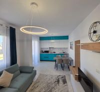 Living room of a two-room apartment with stylish lighting, kitchen, and comfortable sofa.