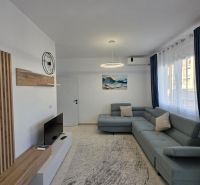 Living room in a two-room apartment with a sofa, television, and wooden decor.