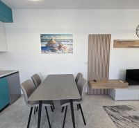 A bright kitchen in a 2-room apartment with a table, a picture of shells, and a television.