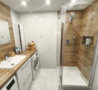 Bathroom with wood-patterned flooring in a 3-room apartment, modern furnishings, and a shower enclosure.