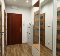 A hallway with a wooden decor floor and a mirrored wardrobe in a 3-room apartment.