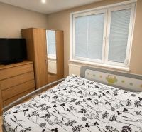 A bedroom in a three-room apartment with wooden decor furniture and a television.