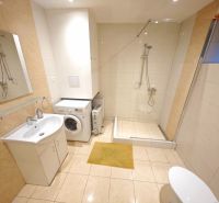 A bathroom in a cabin with a washing machine, shower stall, and floor with wooden decor.