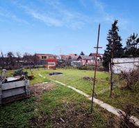 A garden at a family house on Sadová Street in Piešťany with various vegetation and structures.