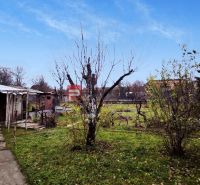 The garden of a family house on Sadova Street in Piešťany with trees and a lawn.