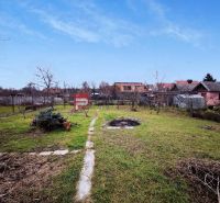 Garden in Piešťany on Sadová Street by the family house with a view of the roofs.