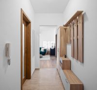 A hallway in a 2-room apartment with furniture and entrance to the living area.