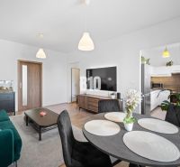 Living room in a two-room apartment with a wooden decor floor and a dining table.