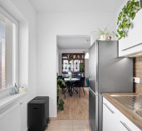 A kitchen in a 2-room apartment with a wooden decor floor and plants.