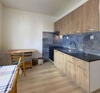 A kitchen in a studio apartment with a wood-patterned floor and modern cabinets.