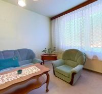 Living room in a 2-room apartment with seating, a table, a plant, and a large window with curtains.