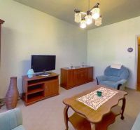 Living room in a two-room apartment with classic furniture and a television.