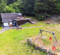 A cottage near the sawmill surrounded by forest with swings on the lawn.