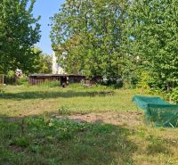 The garden at the family house on Levická Street in Vráble, surrounded by trees and grass.