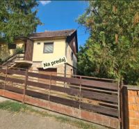 A family house in Svodín surrounded by greenery, with a stone terrace, for sale.