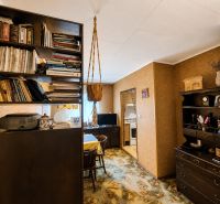 Living room in a family house with a bookshelf full of books and retro furniture.