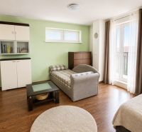 A room in a one-room apartment with a sofa, furniture, and a wooden decor floor.