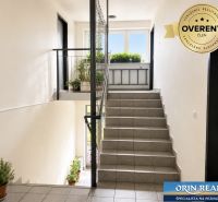A hallway with stairs, flowers, and a large window in a studio apartment.
