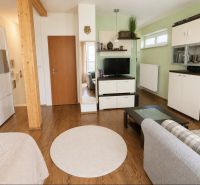 Living room in a studio apartment with wood-patterned flooring, TV, and sofa.