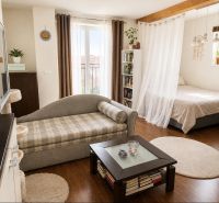 A bright living space in a studio apartment with wood-patterned flooring and a comfortable sofa.