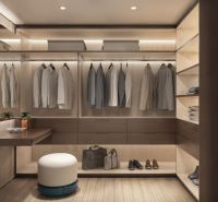 A wardrobe in a 2-room apartment with a wooden decor floor and subtle lighting.