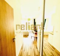 Entrance hallway in a one-bedroom apartment with wood-patterned flooring and a mirrored wardrobe.