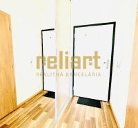 Interior of a 1-room apartment with a wooden decor floor and a mirrored wardrobe.