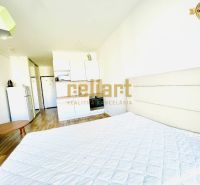 Interior of a 1-room apartment with a wooden decor floor, kitchenette, and bed.