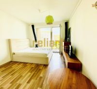 Interior of a 1-room apartment with a bed, television, and wooden decor flooring.