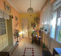 The interior of a family house with tiles, potted plants, and lace curtains.