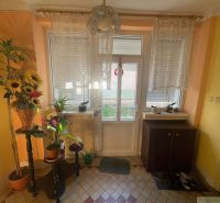 Interior of a family house with entrance doors, plants, and decorations.