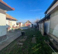 The yard of a family house in Tvrdošovce with a lawn, a dog, and farm buildings.