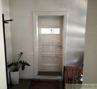 White doors with windows, a flower in a pot, a carpet on the floor in a family house.