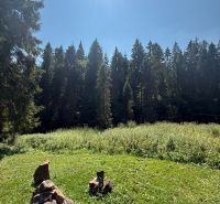 Sunlit recreational plots in Litmanová surrounded by forest and greenery.